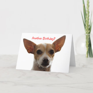 GiGi、別の誕生日か。 カード