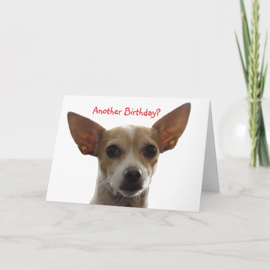 GiGi、別の誕生日か。 カード (正面)