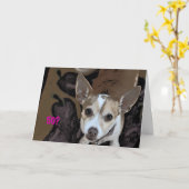 GiGi!!! 、50か。 カード (黄色い花)