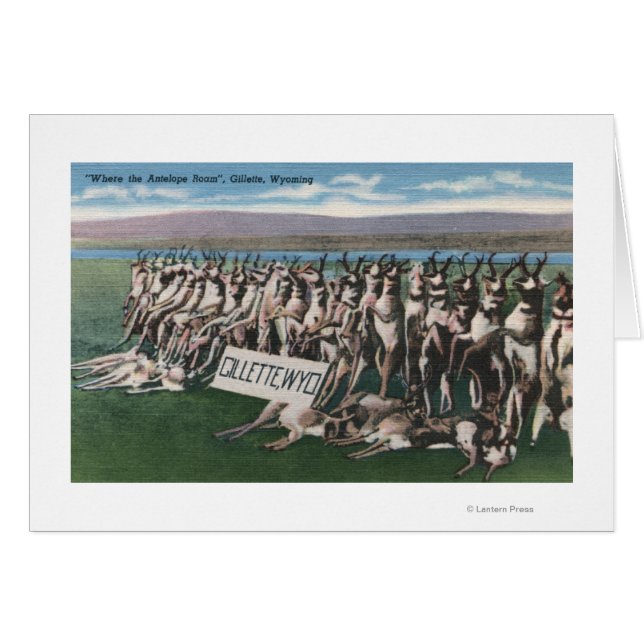 Gillette, WY - Where the Antelope Roam (正面横)