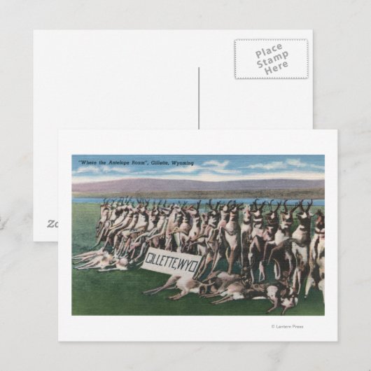 Gillette, WY - Where the Antelope Roam ポストカード (正面/裏面)