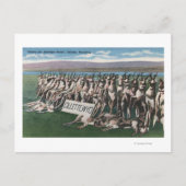 Gillette, WY - Where the Antelope Roam ポストカード (正面)