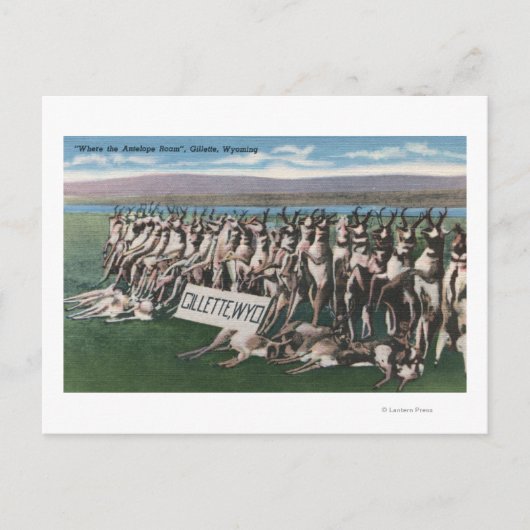 Gillette, WY - Where the Antelope Roam ポストカード (正面)