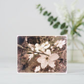 「Gilroy, California」ポストカード(mDarkPoet) ポストカード (スタンド正面)