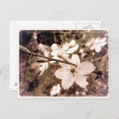 「Gilroy, California」ポストカード(mDarkPoet) ポストカード (正面/裏面)