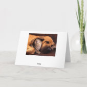 Gimmeの避難所… カード (裏面)