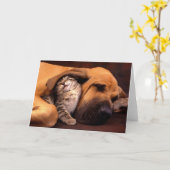 Gimmeの避難所… カード (黄色い花)