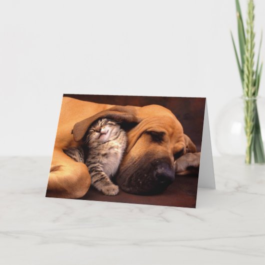 Gimmeの避難所… カード (正面)