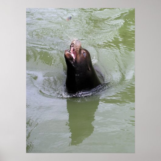 Gimme Fish...NOW ポスター (正面)