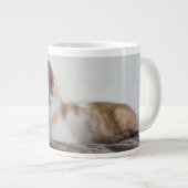 Ginger and White Kitten ジャンボコーヒーマグカップ (正面右)