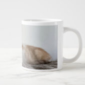 Ginger and White Kitten ジャンボコーヒーマグカップ (右)
