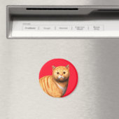 Ginger Cat 3 Magnet マグネット (インサイチュ (食洗機))