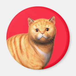 Ginger Cat 3 Magnet マグネット
