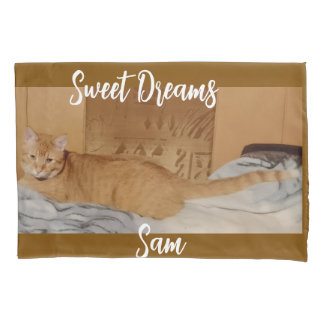 Ginger Cat Photo  枕カバー