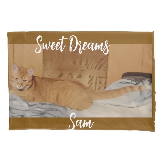 Ginger Cat Photo  枕カバー (正面)