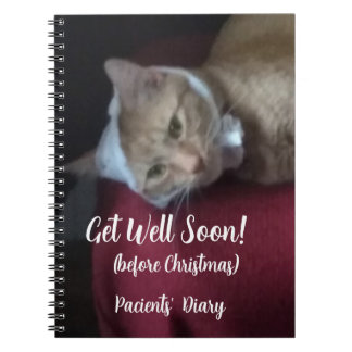 Ginger Cat Photo Get Well Soon , Spiral ノートブック