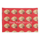 Ginger Cat Photo Humor Text Blue Red  枕カバー (裏面-右)