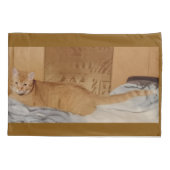 Ginger Cat Photo  Pillow Case 枕カバー (裏面)