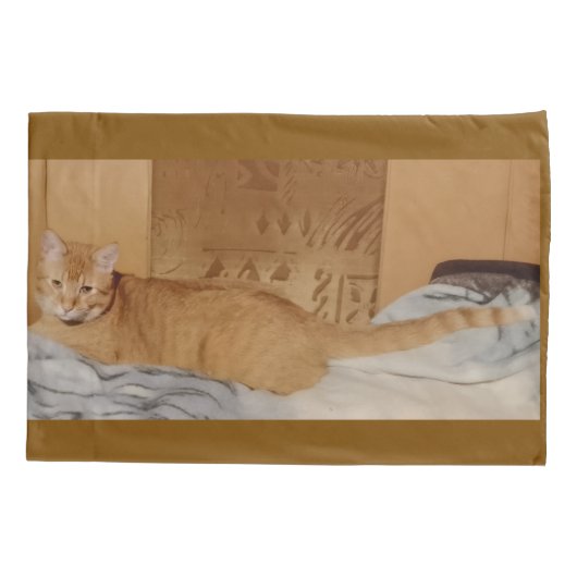 Ginger Cat Photo  Pillow Case 枕カバー (裏面)