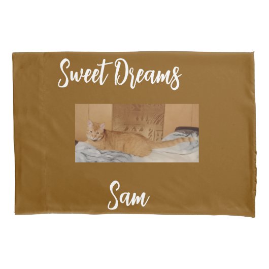 Ginger Cat Photo  Pillow Case 枕カバー (正面)