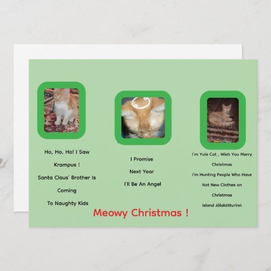 Ginger Cat Photo Text Whimsical Christmas Card (正面/裏面)