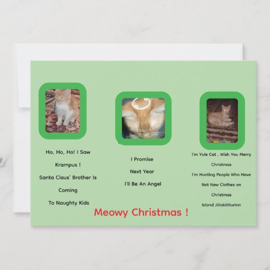 Ginger Cat Photo Text Whimsical Christmas Card (正面)