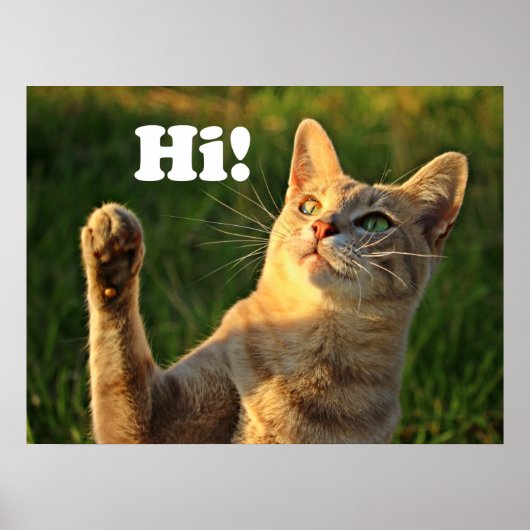 Ginger Cat Saying Hi! ポスター (正面)
