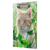 Ginger Cat with Green Eyes in Grass クリップボード (左)