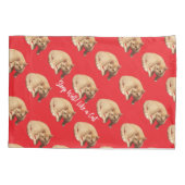 Ginger Cute Cat Photo Text Blue Red  枕カバー (裏面)