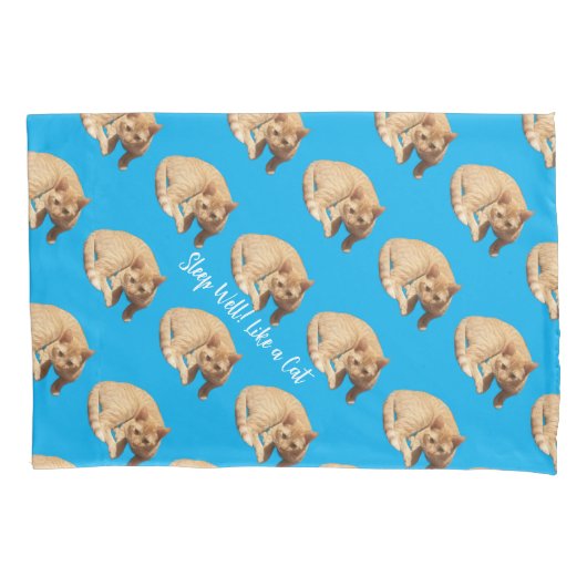 Ginger Cute Cat Photo Text Blue Red  枕カバー (正面)