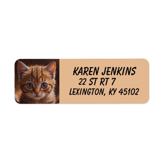 GINGER KITTEN CAT CUSTOM Return Address Labels ラベル (正面)