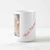 Ginger kitten photo, best therapist,  モーフィングマグカップ (中央)