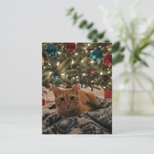 Ginger Kitty Under the Christmas Tree ポストカード (スタンド正面)