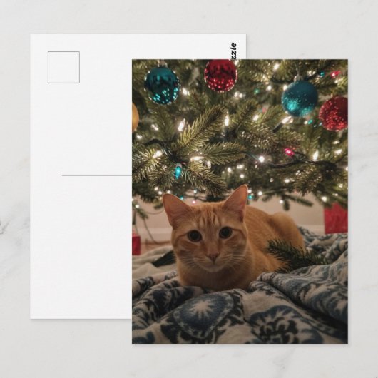Ginger Kitty Under the Christmas Tree ポストカード (正面/裏面)
