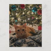 Ginger Kitty Under the Christmas Tree ポストカード (正面)