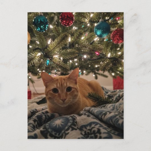 Ginger Kitty Under the Christmas Tree ポストカード (正面)