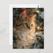 Ginger Maine Coon Christmas ポストカード (正面/裏面)
