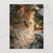 Ginger Maine Coon Christmas ポストカード (正面)
