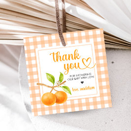 Gingham Orange Baby Shower フェイバータグ