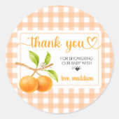 Gingham Orange Baby Shower ラウンドシール (正面)