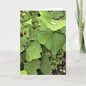 Gingkoの雨 カード (正面)