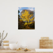 Ginkgo Biloba Tree Poster ポスター (キッチン)