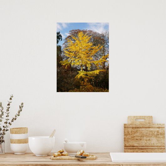 Ginkgo Biloba Tree Poster ポスター (キッチン)