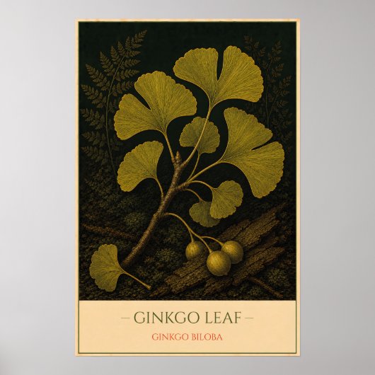Ginkgo Leaf ポスター (正面)