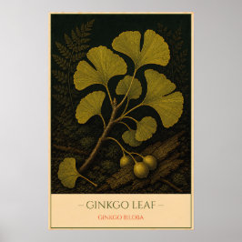 Ginkgo Leaf – Vintage Botanical Illustration ポスター