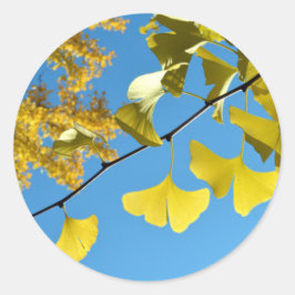 Ginkgo Leaves in Autumn ラウンドシール