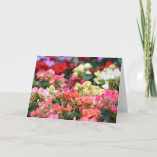 Ginzaの花の開花 カード