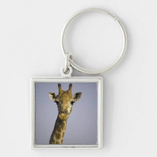 Giraffa Camelopardalis キーホルダー (正面)