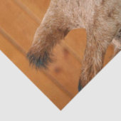 Giraffe_20151101_by_JAMFo 薄葉紙 (詳細)