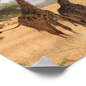 Giraffe Africa Animal Pattern Destiny's Destiny ポスター (角)